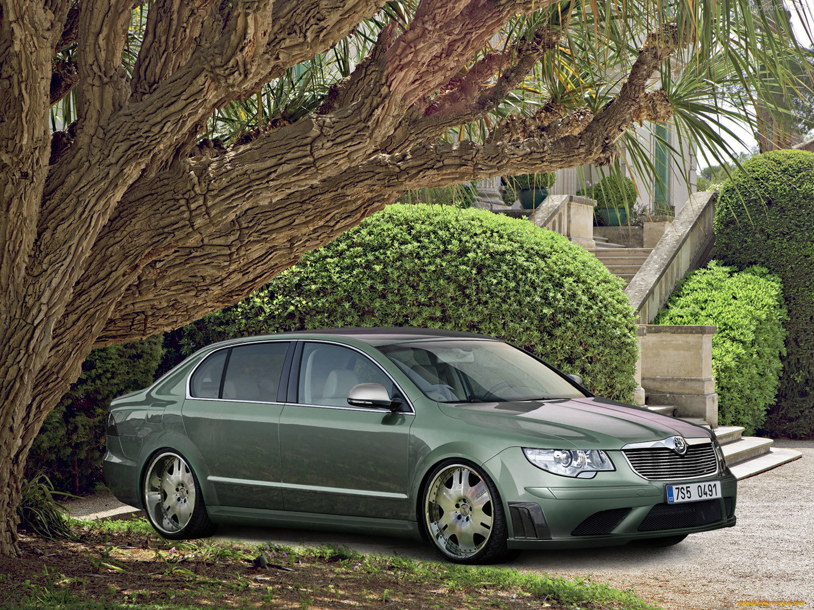 , skoda